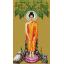 Pinn พระพุทธรูปปางป่าเลไลยก์ (พระประจำวันพุธกลางคืน)