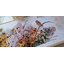 Merejka ชุดปัก Black Eyed Susans and Phlox