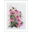 Merejka ชุดปัก Coneflowers