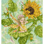Jasmine ชุดปักครอสติช Little Fairy
