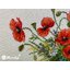 Merejka ชุดปักครอสติช Summer Still Life