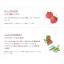 ชิเซโด้ คอลลาเจน Shiseido the collagen 5000 mg 126g (ขนาด21 วัน ) แบบผง exp 04/2021