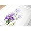 Luca-S ชุดปัก Irises