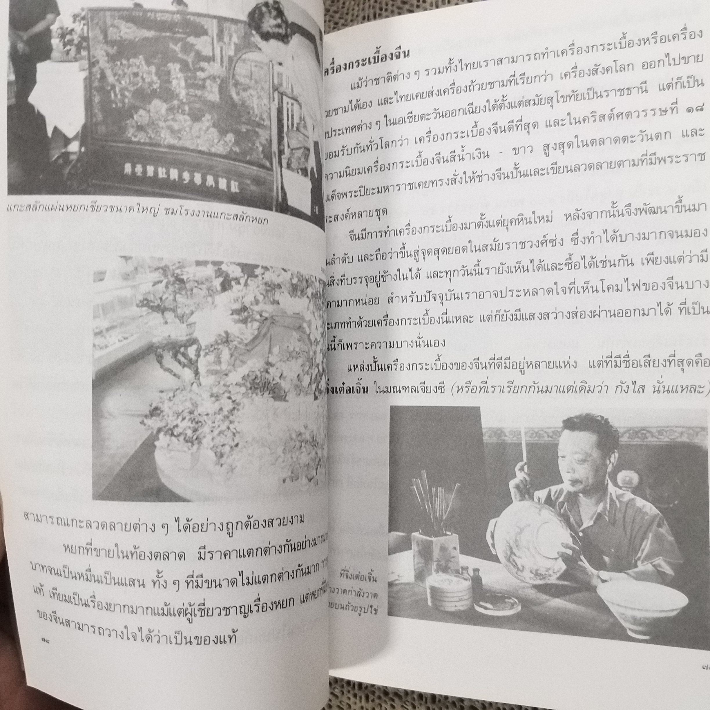 ตะลุยจีน ท่องถิ่นมังกร โดย รศ.วุฒิชัย มูลศิลป์ / สภาพดี 90 %