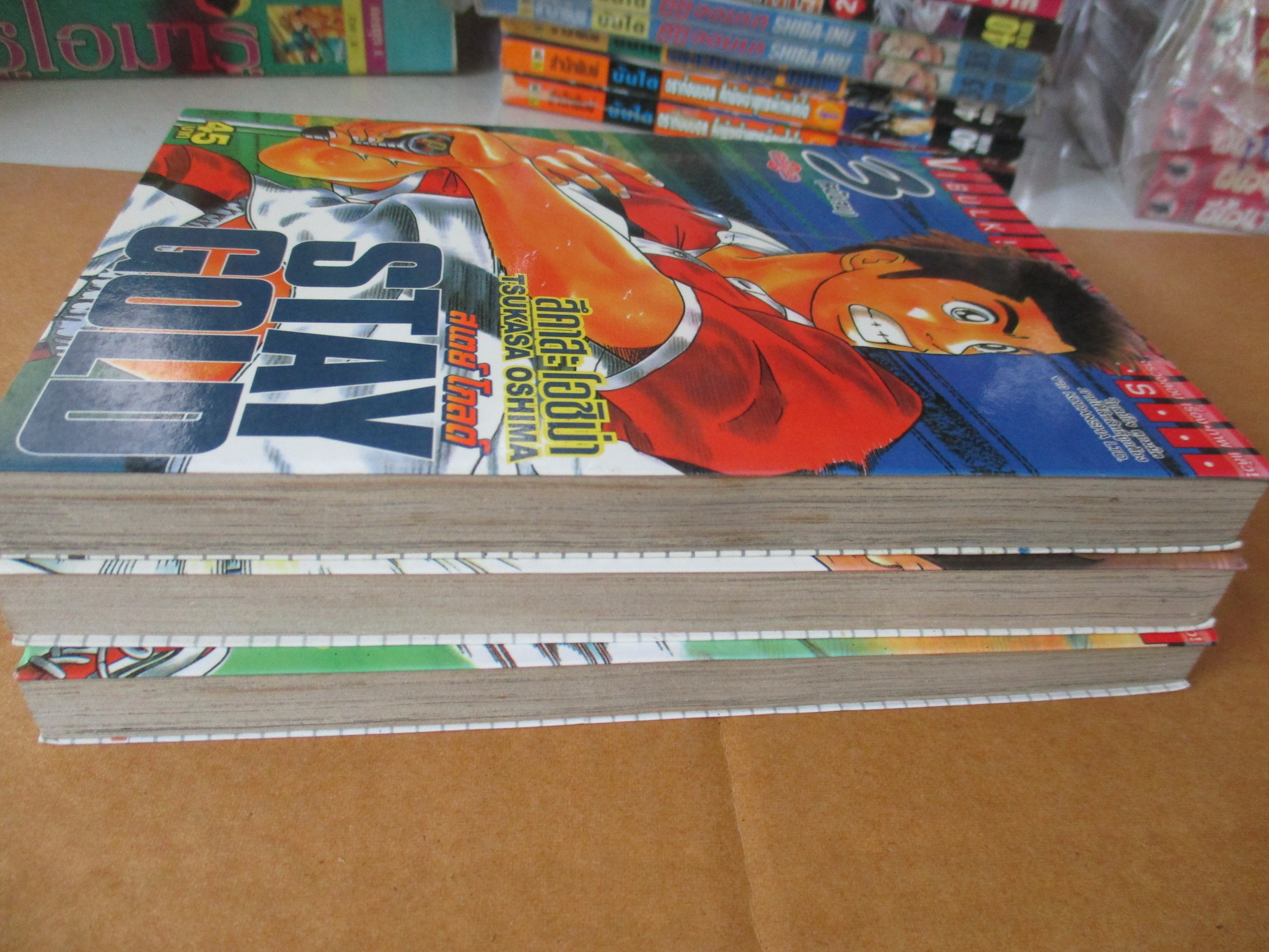 การ์ตูนบ้าน STAY GOLD สเตย์ โกลด์ ครบชุด3เล่มจบ สนพ.วิบูลย์กิจ