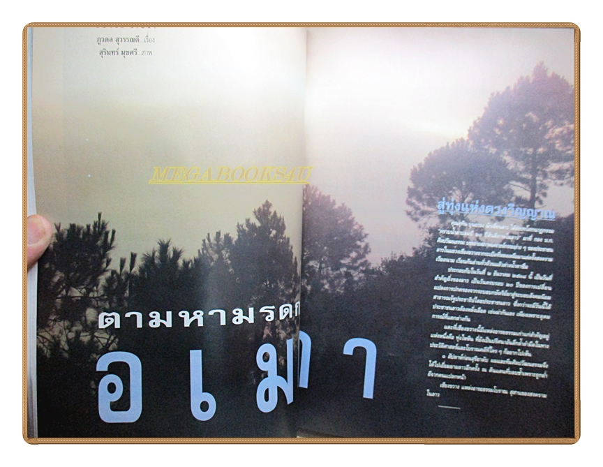 นิตยสารศิลปวัฒนธรรม ปีที่17 ฉบับที่02 ธันวาคม 2538 เรื่องเด่น บอมบี พิสูจน์ความลี้ลับแห่งทุ่งไหหิน