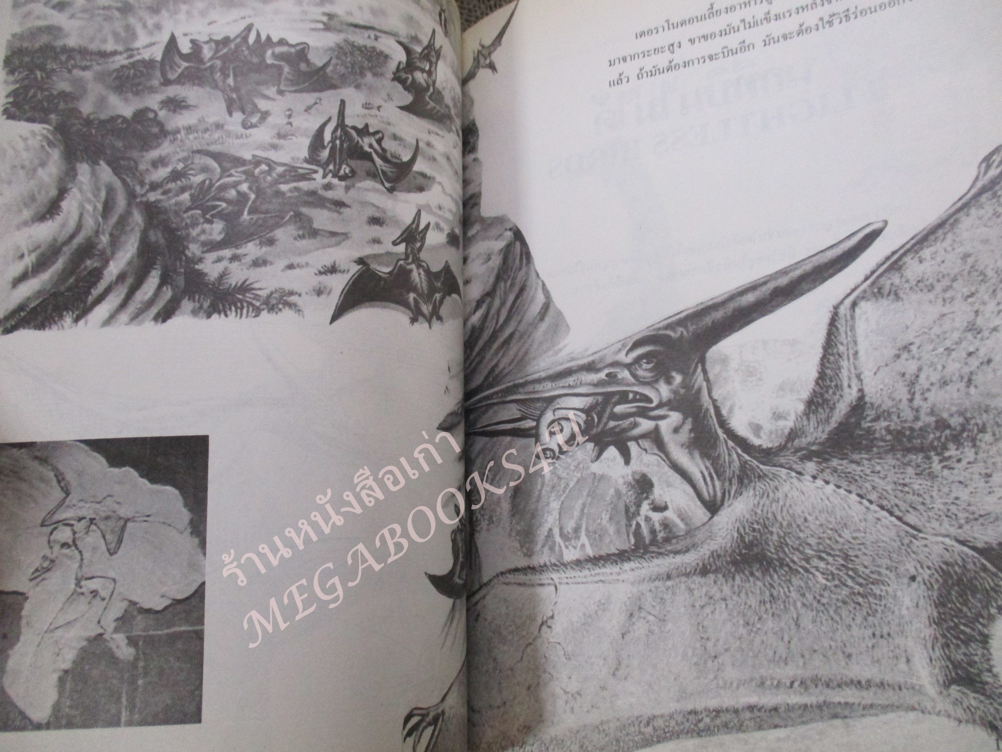 โลกยุคดึกดำบรรพ์ / โรงเรียนส่งเสริมวิชาชีพฯ / สภาพดี / แผ่นรองปกมีคราบน้ำนิด