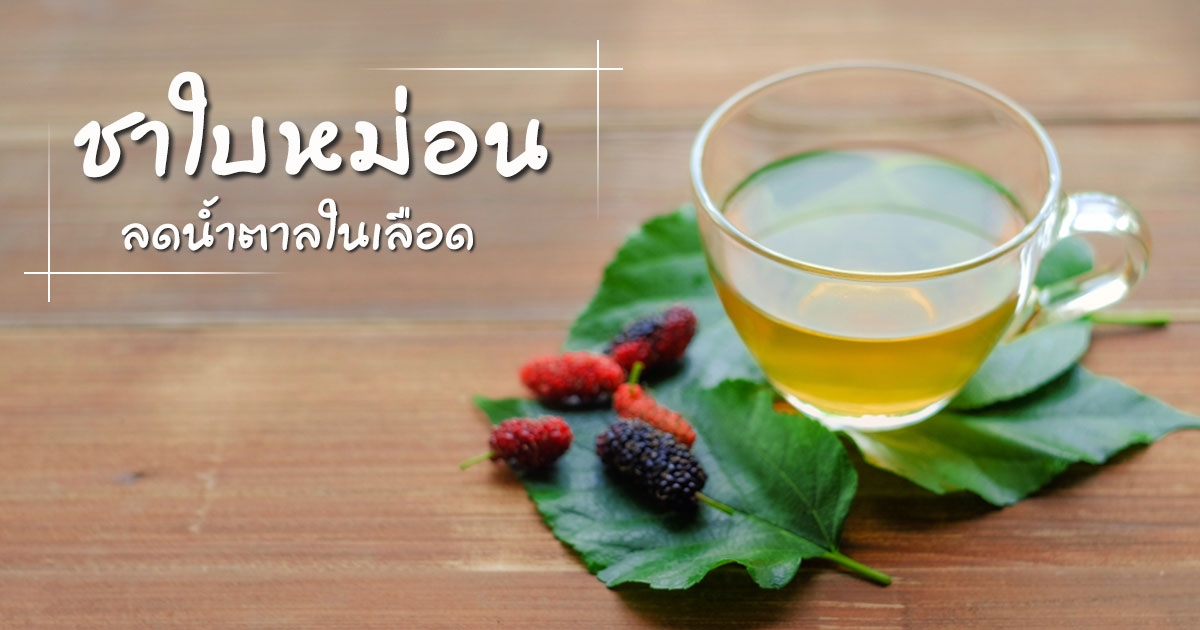 ชาใบหม่อน ชนิดคัดพิเศษ (ชนิดซองชง) บรรจุ 30 ซอง