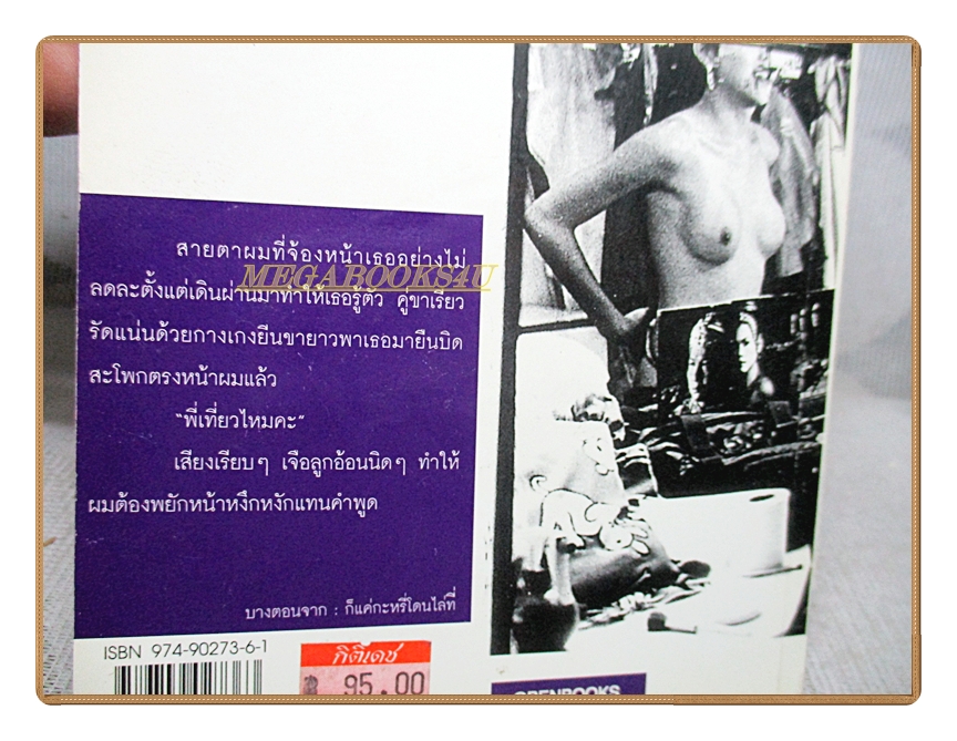 ชายขายตัว บาร์เกย์ หญิงคาบาเรท์ ตลกคาเฟ่ กะหรี่สนามหลวง โดย วรชัย รัตนดวงตา