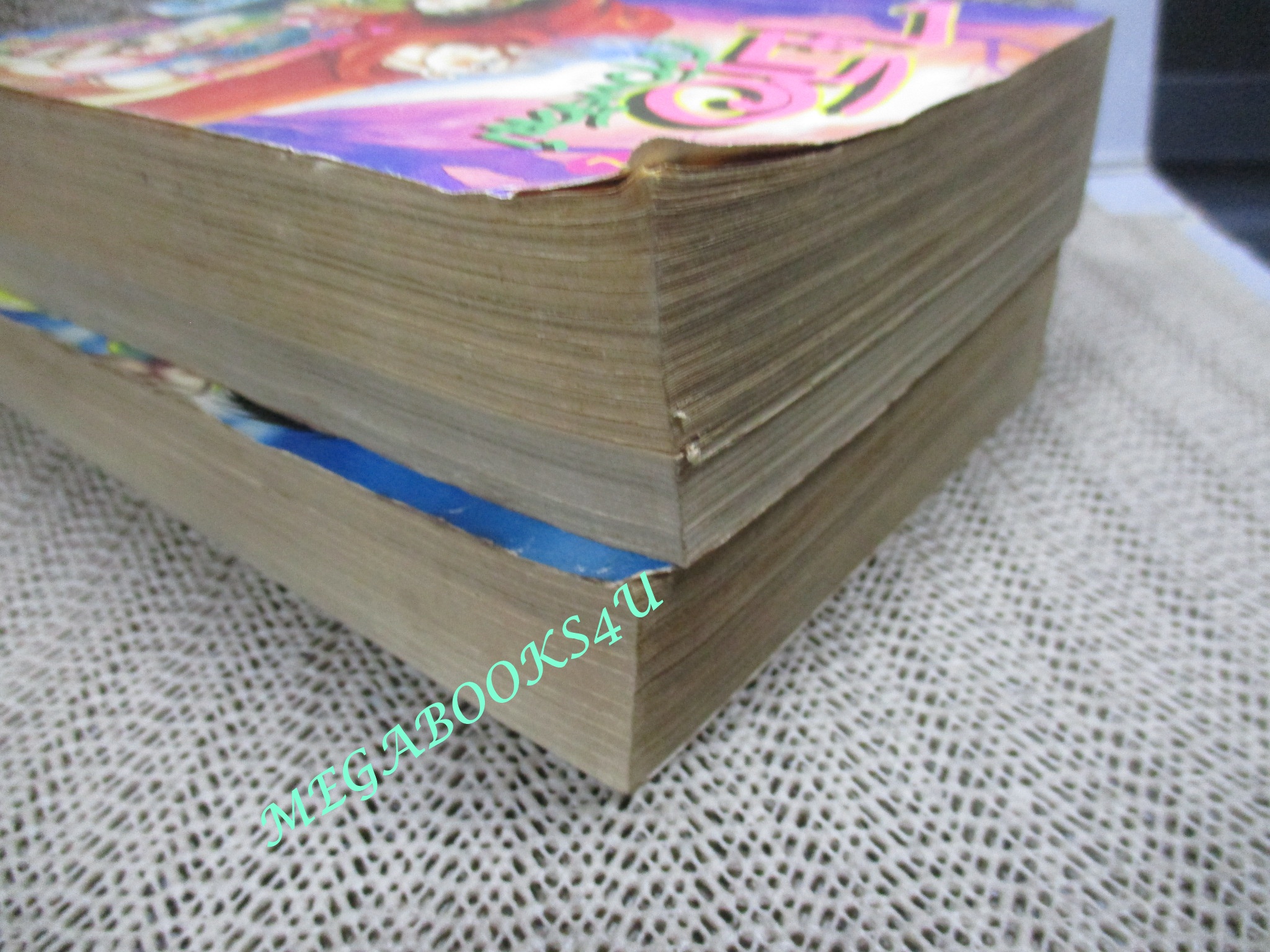 การ์ตูนบ้าน ไบโอจ้าวพยัคฆ์ 2เล่มจบครบชุด สนพ.หมึกจีน สภาพดี (เช่า สวย ไม่มีประทับตรา)