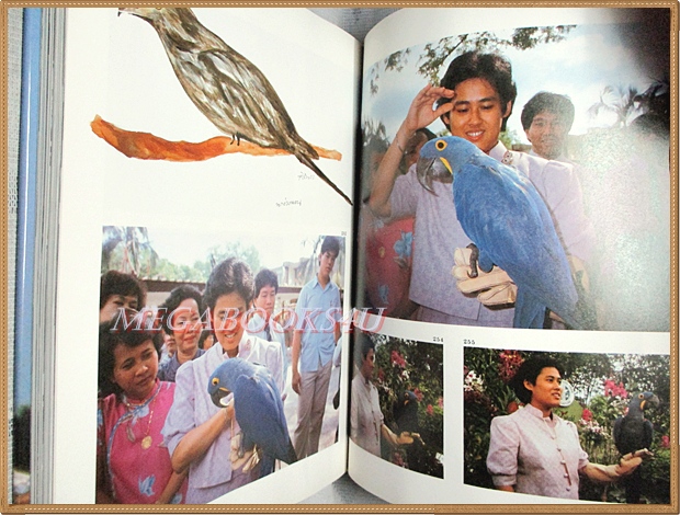 สิงคโปร์สัญจร พระราชนิพนธ์ในสมเด็จพระเทพฯ สภาพดี