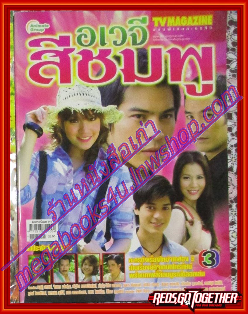 นิตยสารเรื่องย่อละครโทรทัศน์ อเวจีสีชมพู ทฤษฎี สหวงษ์ จิตตาภา แจ่มปฐม ปี2551