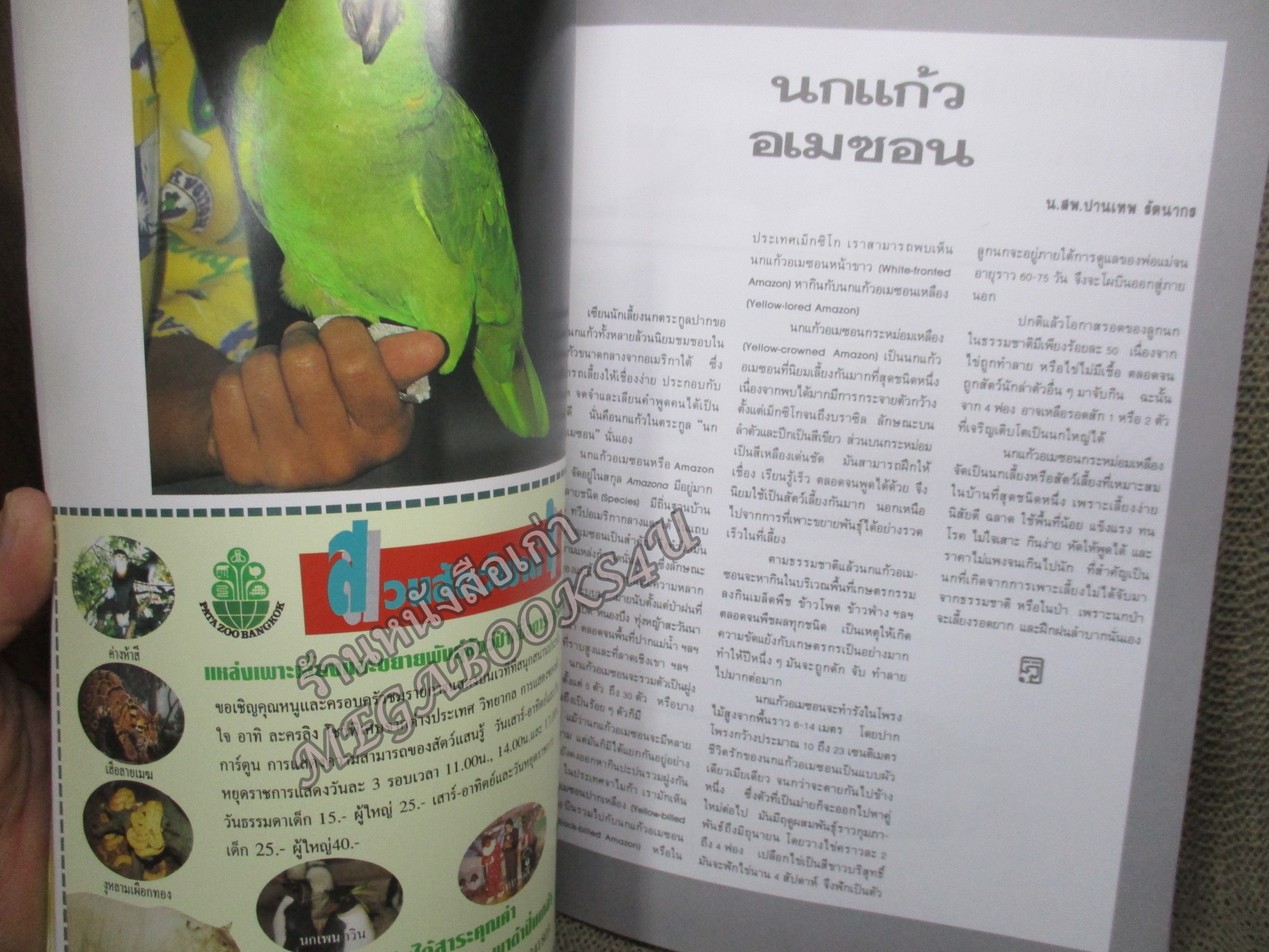 นิตยสาร ธรรมชาติและสัตว์เลี้ยง ฉบับที่071 ปี2539 ปก สุนัขบางแก้ว