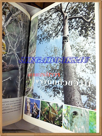 นิตยสารสารคดี ฉบับที่179 ปีที่15 มกราคม 2543;จักรยาน,โพรงนกหัวขวาน,เกาหลีใต้,สารคดีบันทึกปี2000