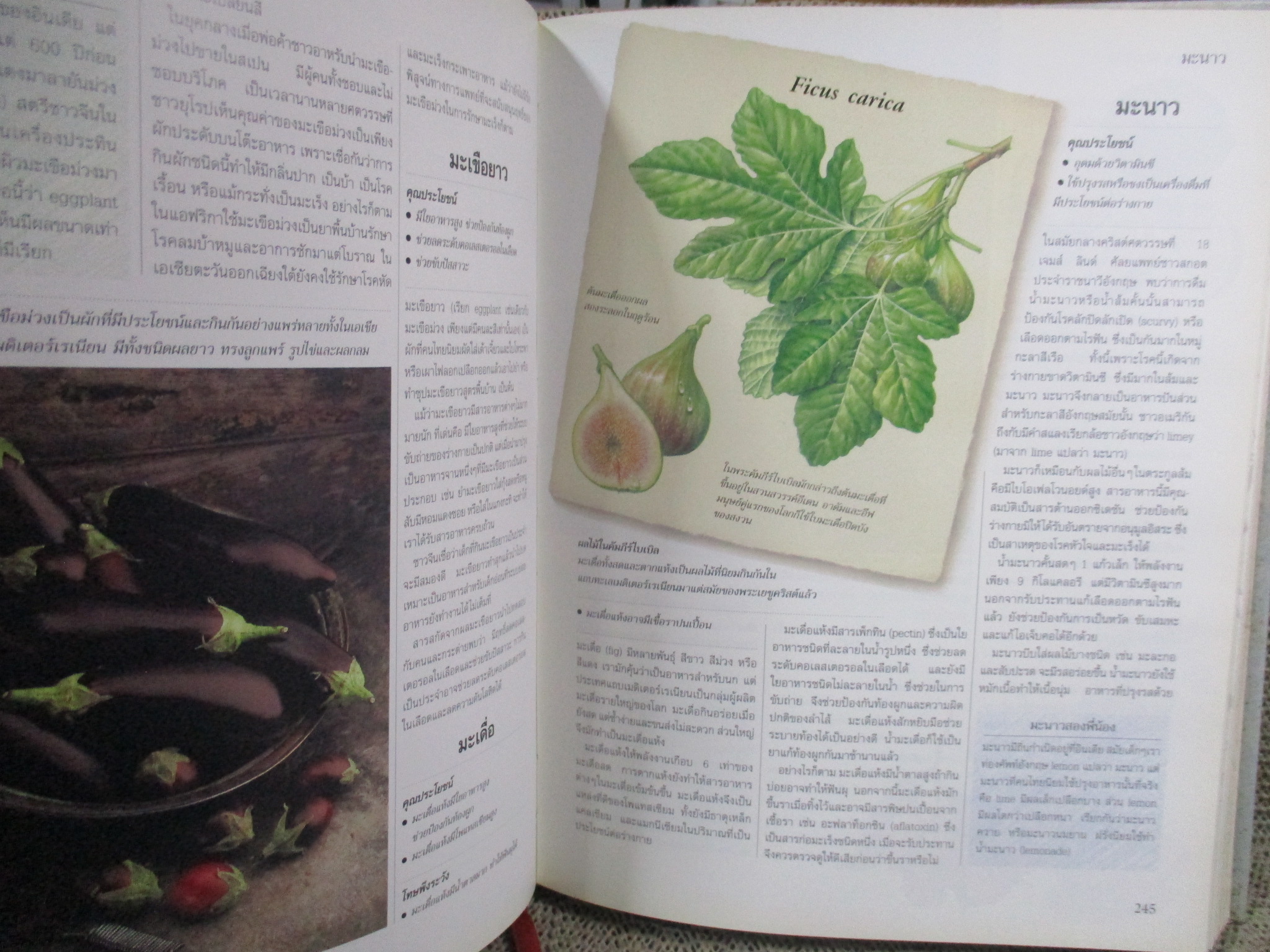 รีดเดอร์ส ไดเจสท์ รู้คุณรู้โทษโภชนาการ คู่มือโภชนบำบัดและป้องกัน เรียงลำดับ ก-ฮ เพื่อการบริโภคที่ชาญฉลาดและปลอดโรคภัย