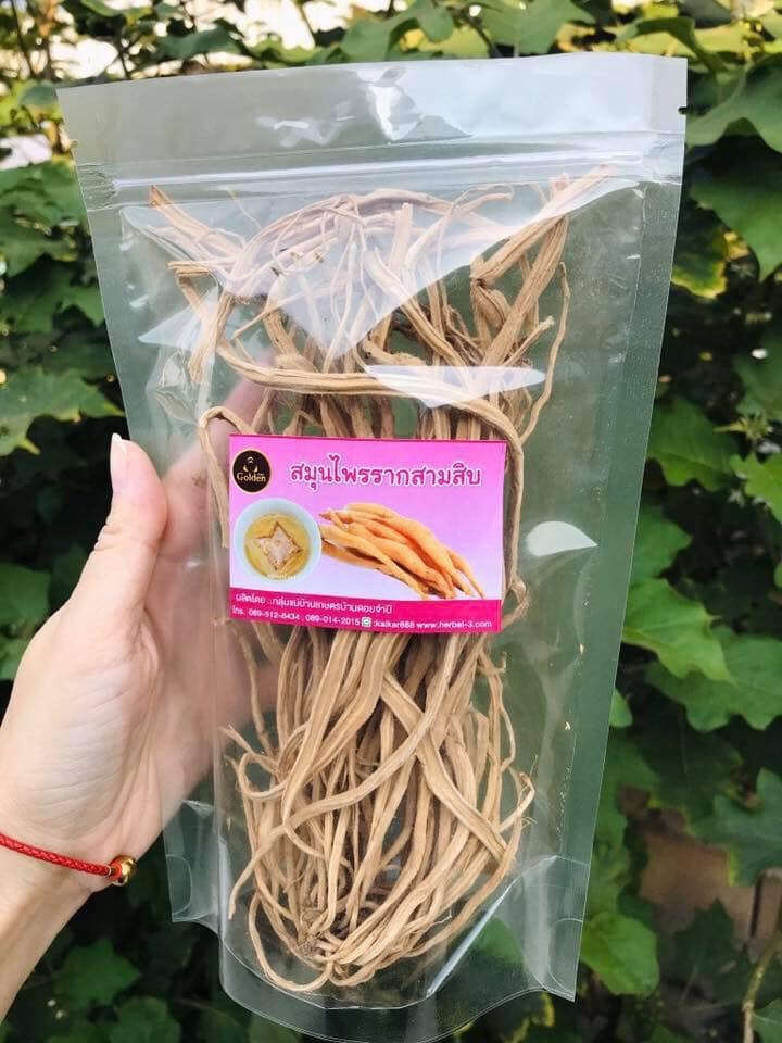 รากสามสิบ (รากอบแห้ง)