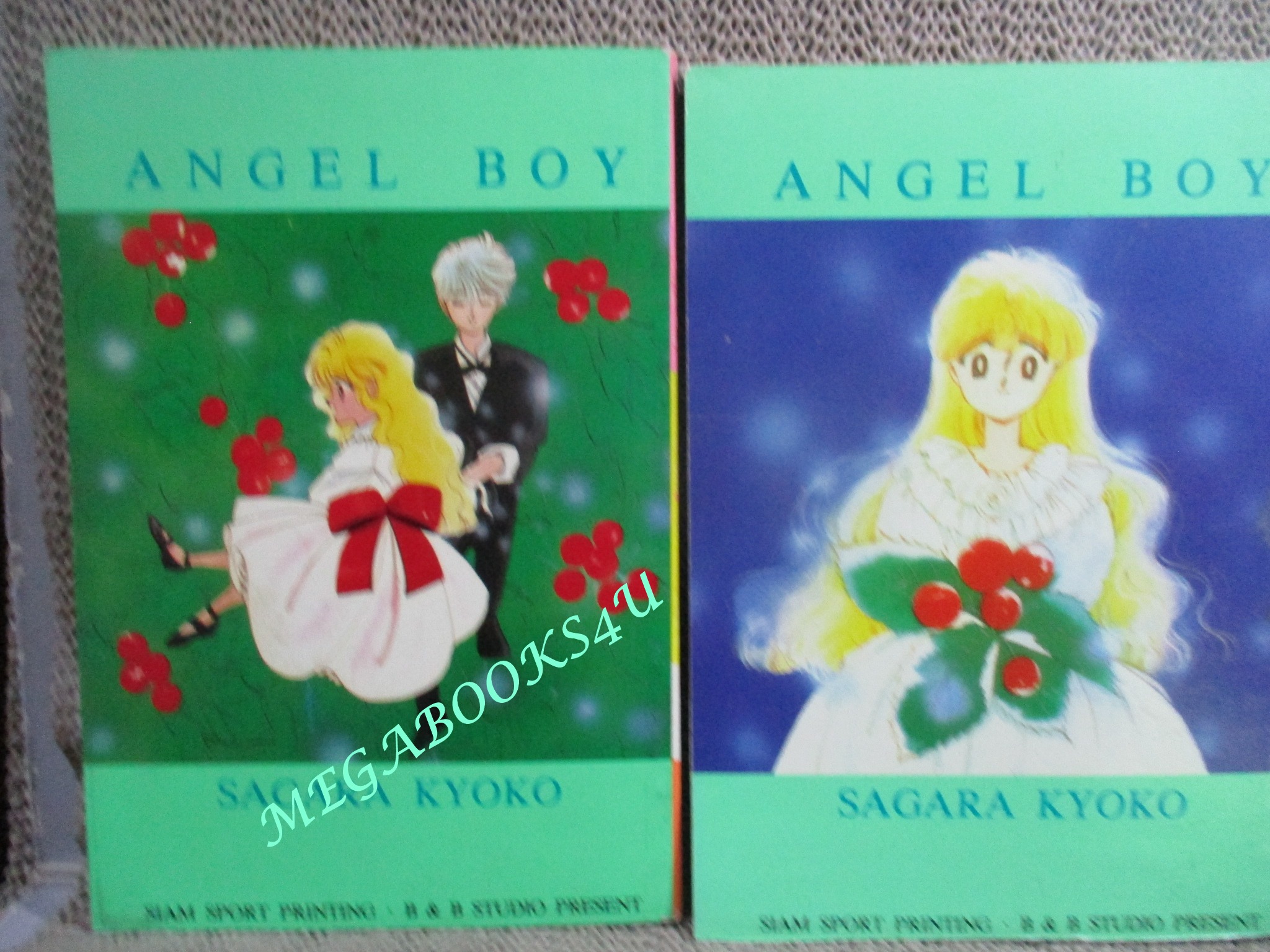 เทพบุตรคนใหม่ ANGEL BOY / 2 เล่มจบ / Sagara Kyoko /สยาม