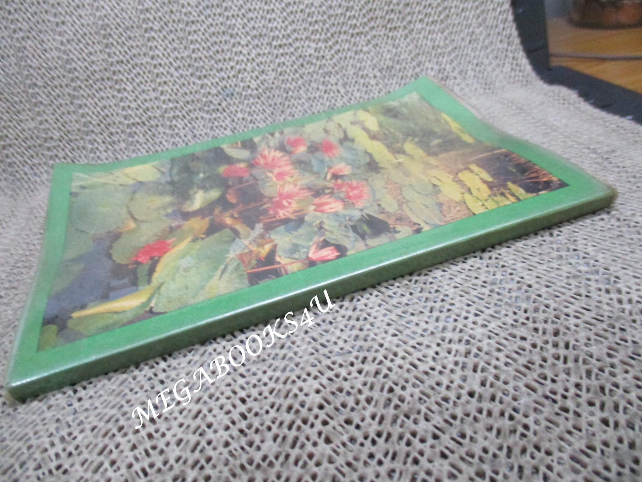 ดอกไม้ในเมืองไทย FLOWER เล่ม2 โดย อำนวย ปิ่นรัตน์ / หน้าปกงอนิด