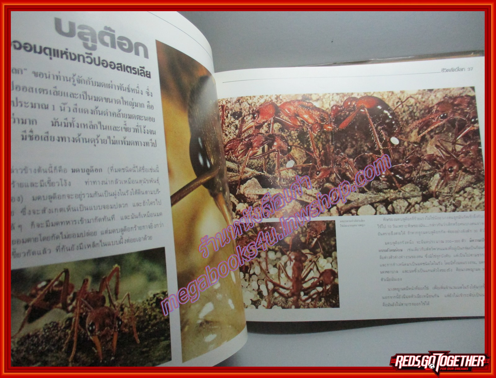 หนังสือ ชีวิตสัตว์โลก ขอแนะนำท่านรู้จักกับชีวิตสัตว์ทั่วโลก โดย อรรถ พันธุ์ขจร ตำหนิ ซ่อมสันปกติดเทป