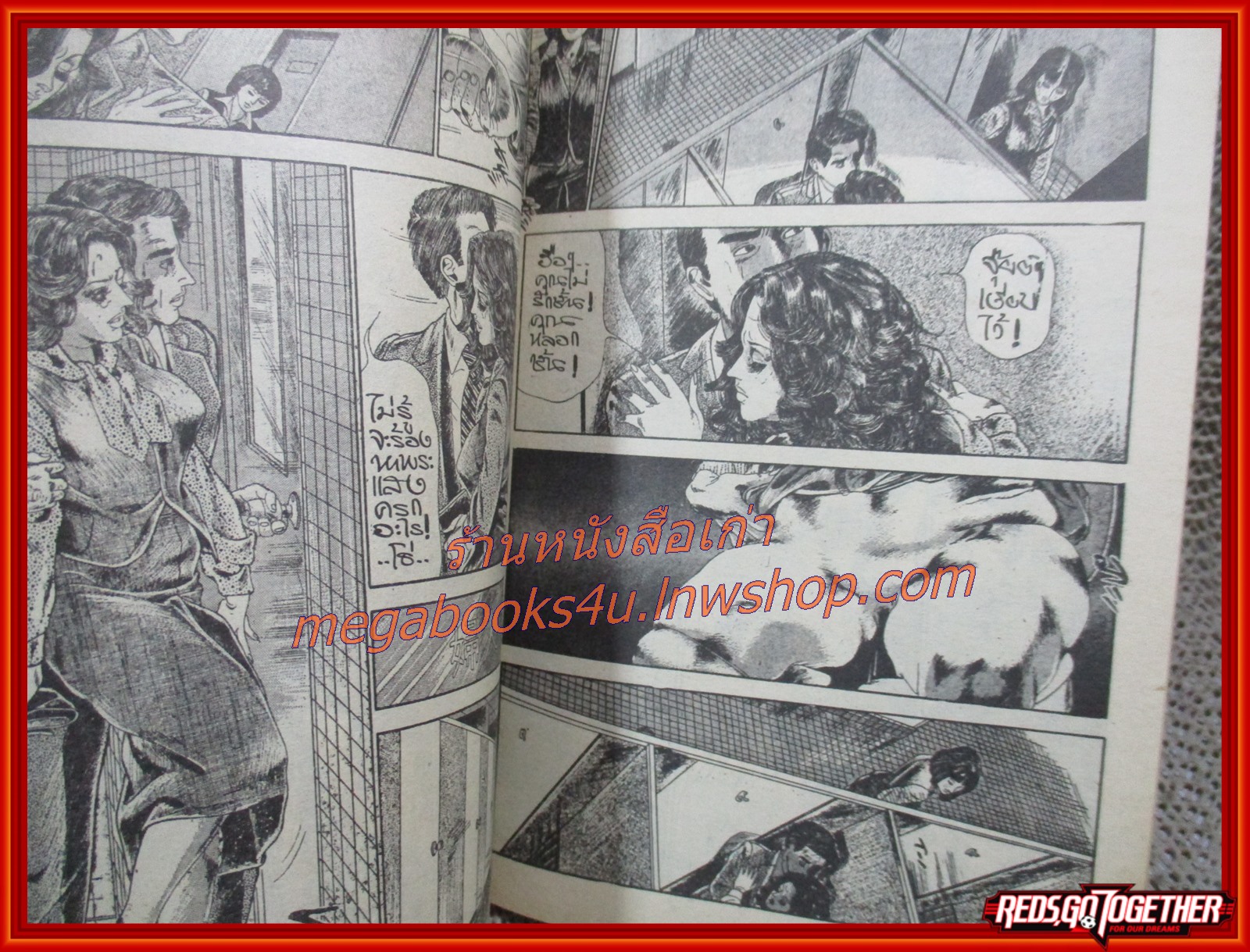 นิยายภาพผู้ใหญ่ การ์ตูนเพื่อหนุ่มหนุ่ม ฉบับพิเศษ