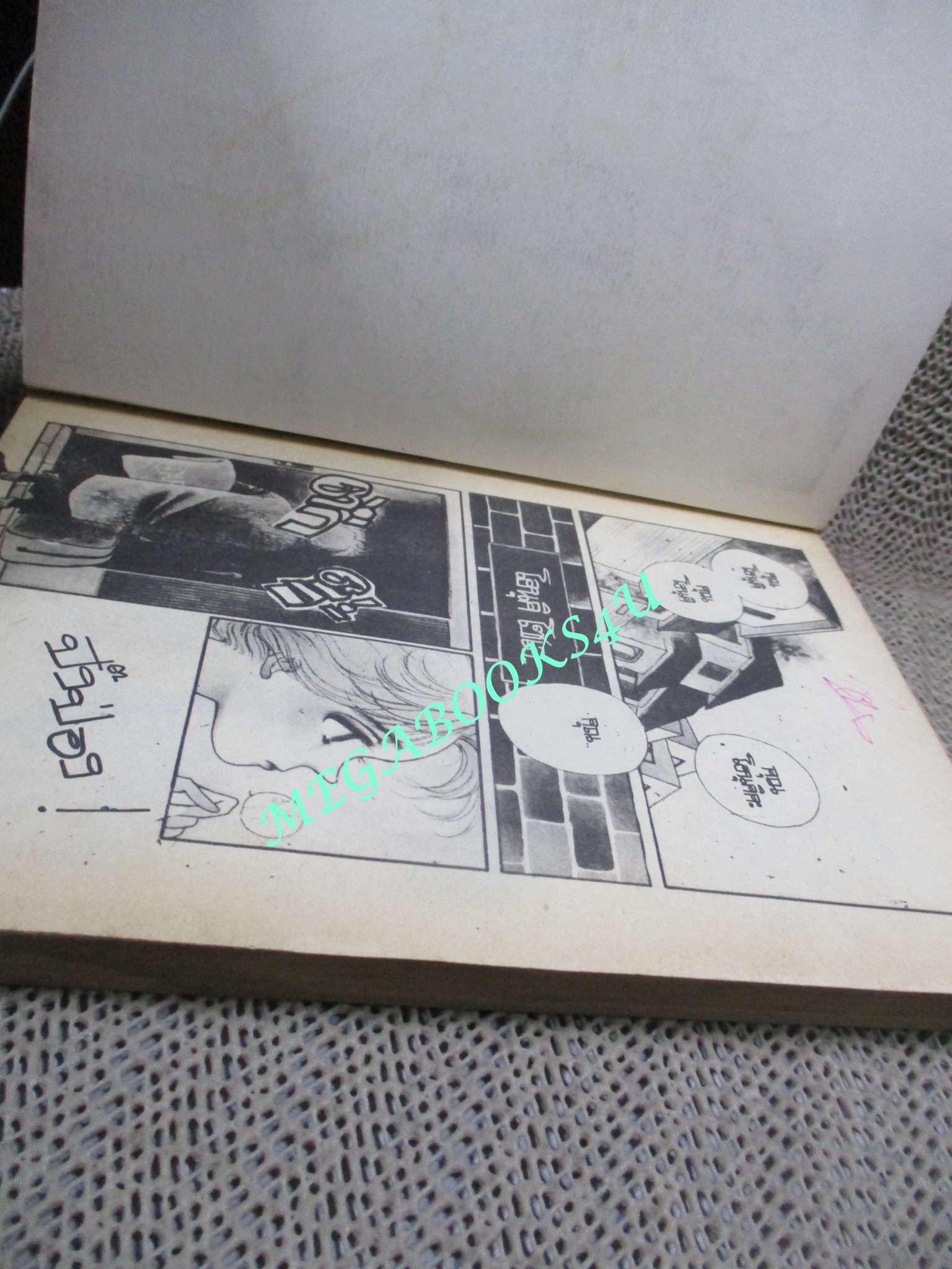 สาวใช้คนใหม่ โดย OGURA FUYUMI เล่มเดียวจบ สนพ.มิตรไมตรี