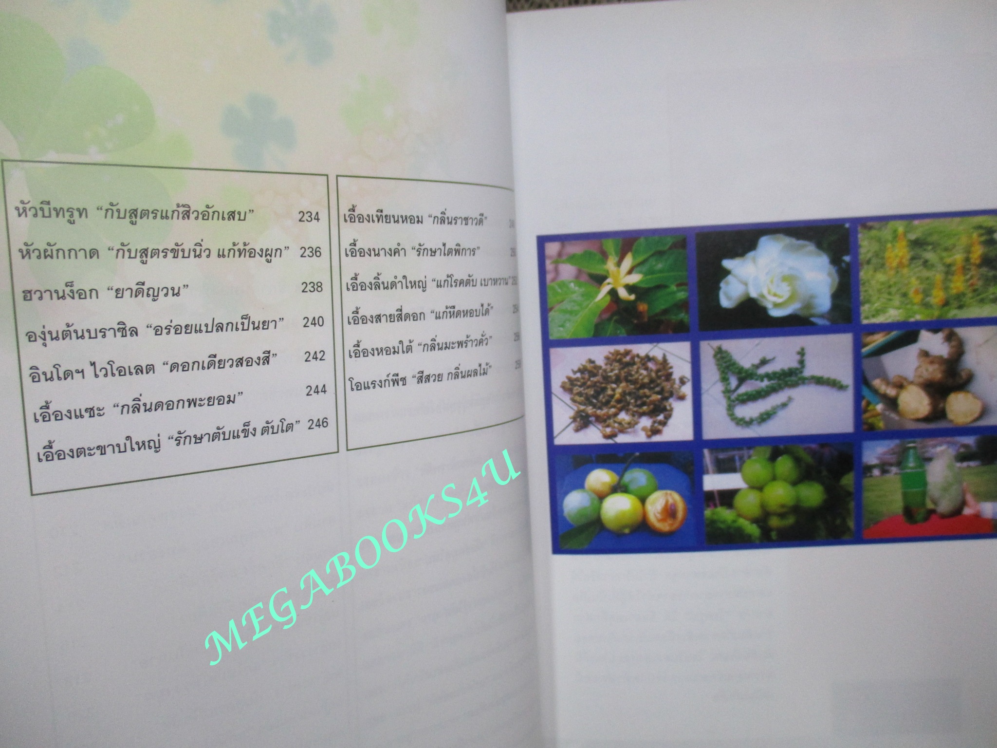 หนังสือ สมุนไพร ไม้ประดับหายาก เล่ม4 โดย นายเกษตร