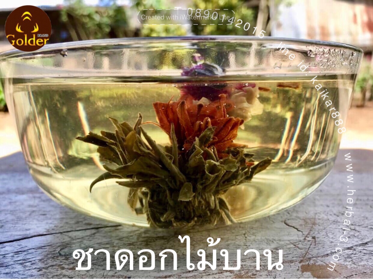 ชาดอกไม้บาน 6 ดอก
