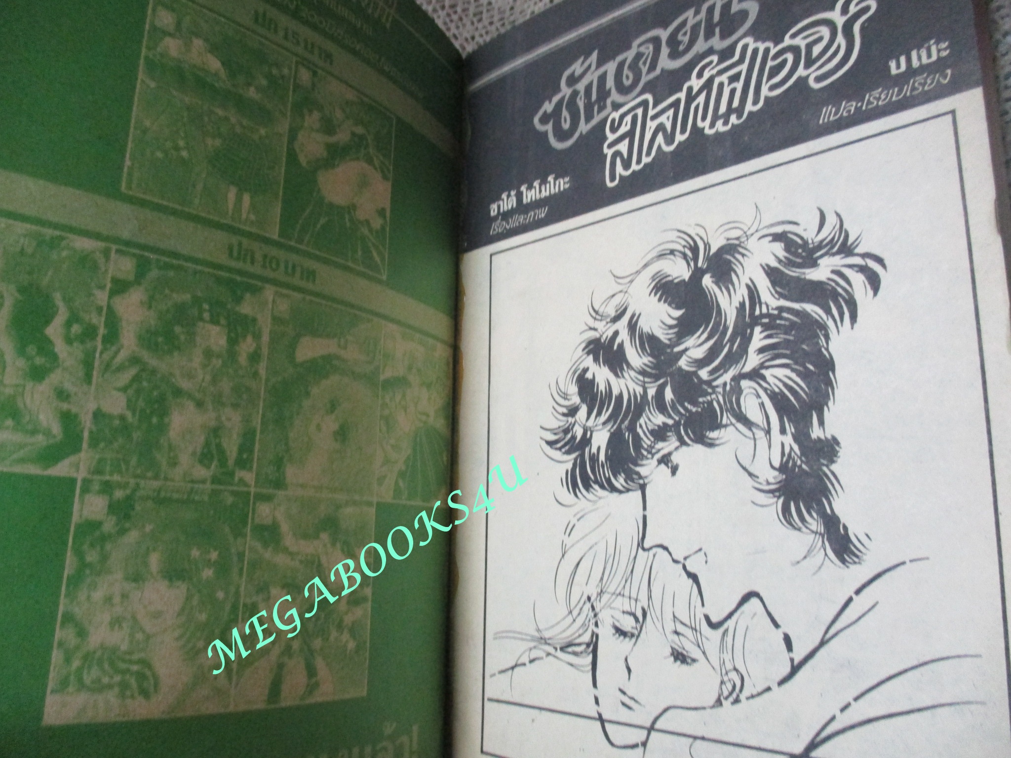 ซันชายน์สไลท์ฟีเวอร์ / เล่มเดียวจบ / ยอดธิดา / สภาพดี