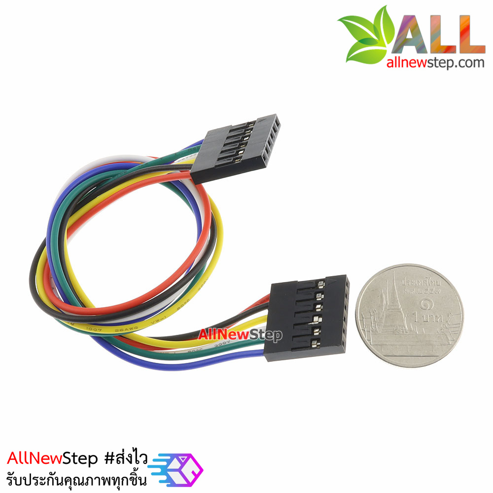 Jumper Wire 6P 2.54mm Female to Female สายไฟจัมเปอร์ เมีย-เมีย 6 เส้น ยาว 20cm
