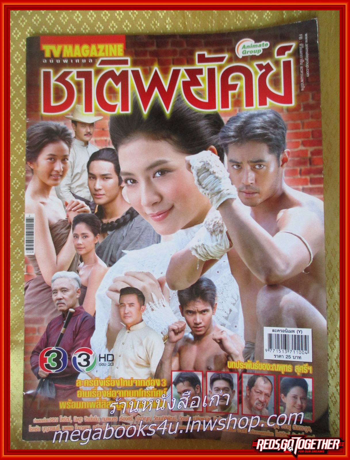 เรื่องย่อละคร ชาติพยัคฆ์ ปี2559 จรณ โสรัตน์ นิษฐา จิรยั่งยืน