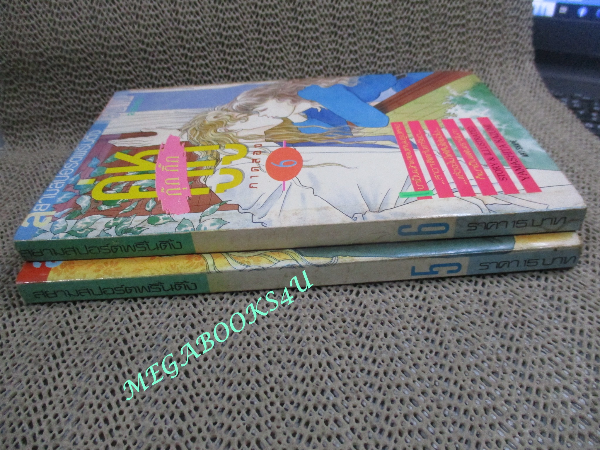 คู่หูกุ๊กกิ๊ก ภาค2 รวม 2 เล่มจบ / YAMASHITA KAZUMI / สนพ. สยาม /กระดาษสีน้ำตาล ปกหลังมีคราบน้ำนิด