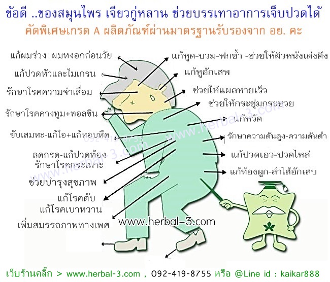 เจียวกู่หลานผสมใบหม่อน (ชนิดซองชง)
