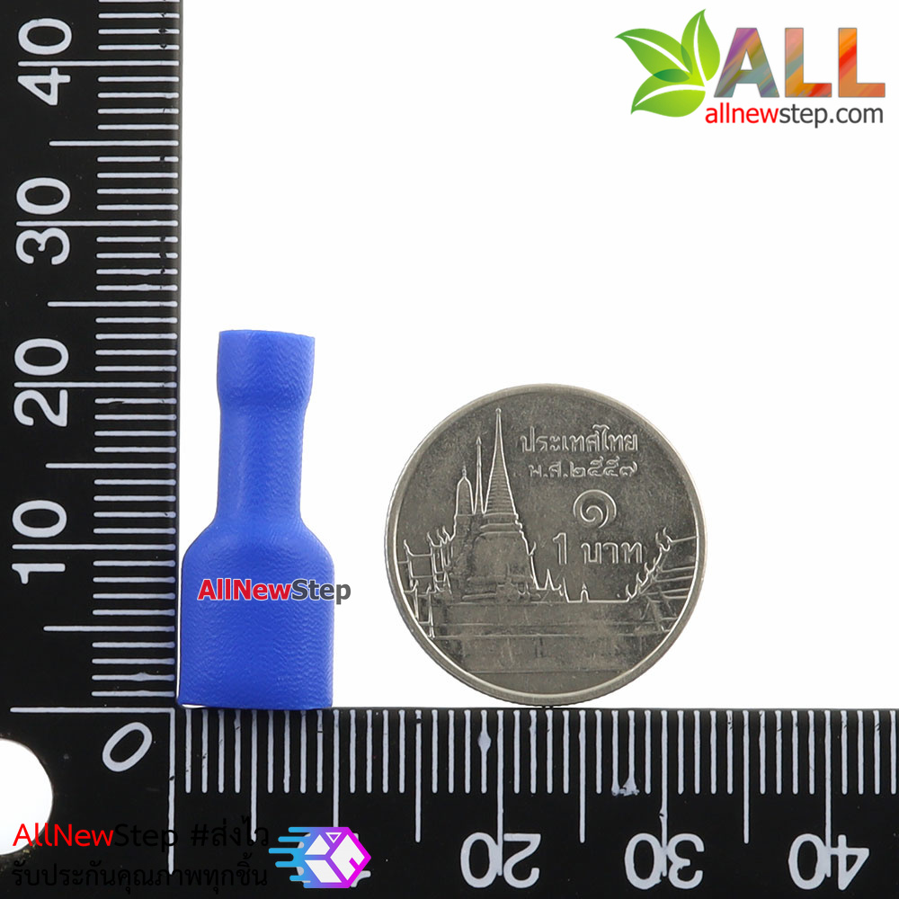 หางปลาเสียบตัวเมียหุ้มมิด สีน้ำเงิน FDFD2-250