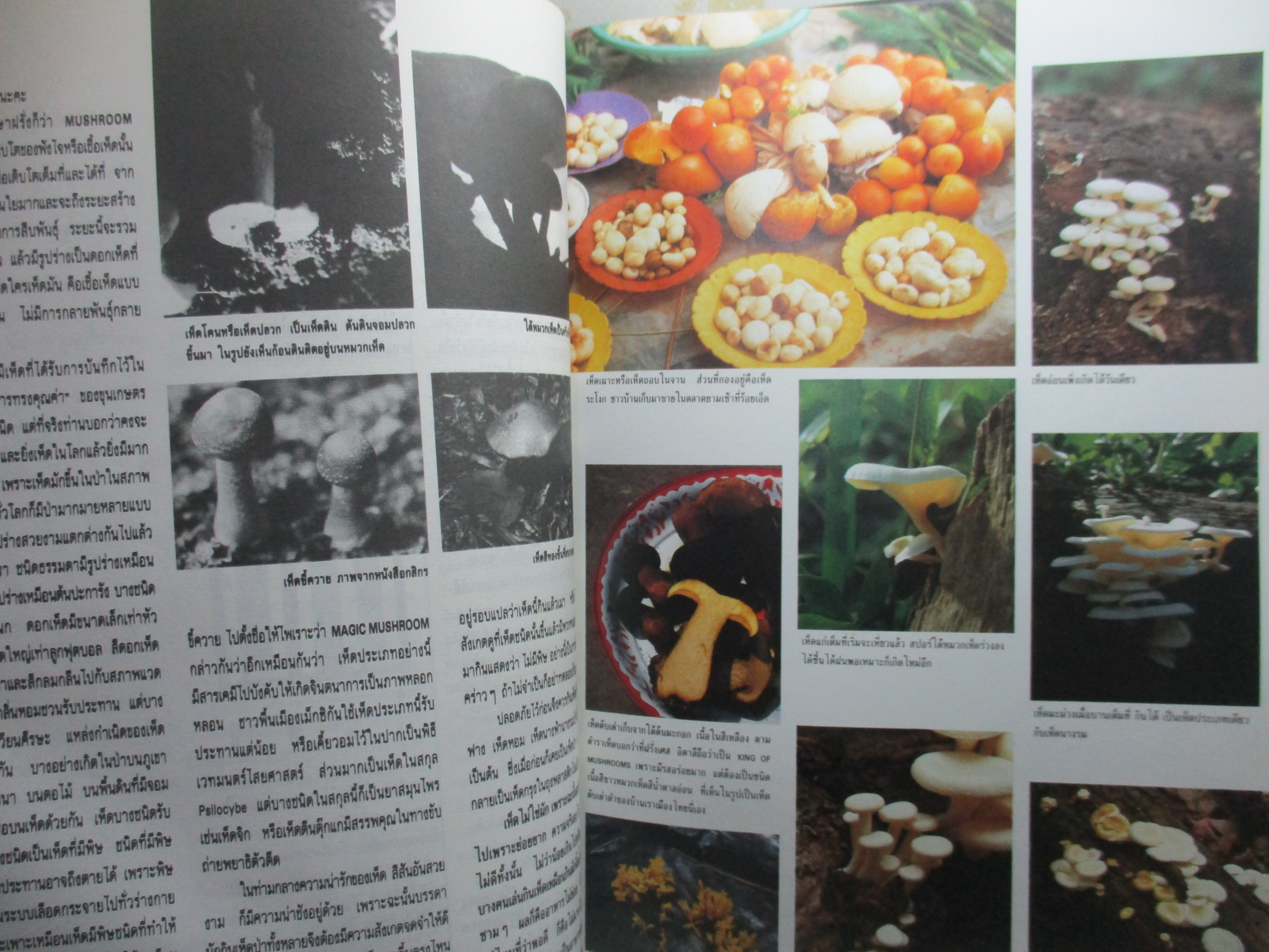 นิตยสารจันทร์ ฉบับ26 ปี2532 ปก วราลี สมศักดิ์