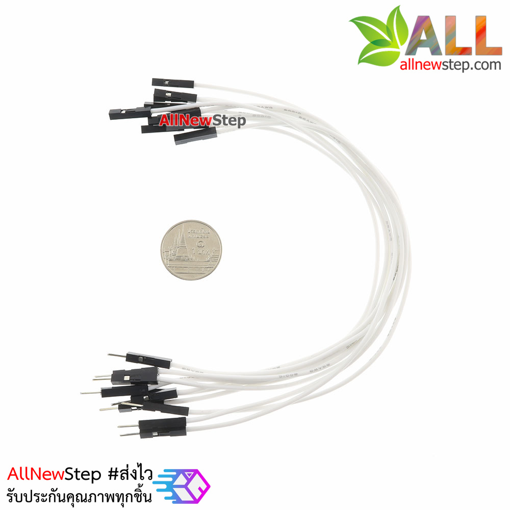 สายไฟจัมเปอร์ 20cm สาย jumper 20 cm จำนวน 10 เส้น ผู้-เมีย สีขาว