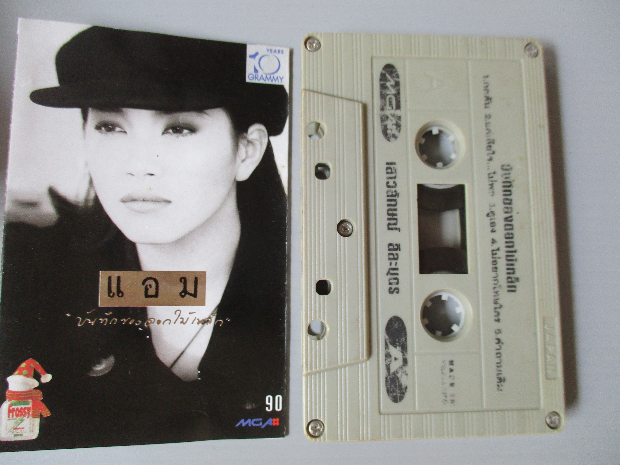 เทปเพลงไทยสากล แอม เสาวลักษณ์ ชุด บันทึกของดอกไม้เหล็ก