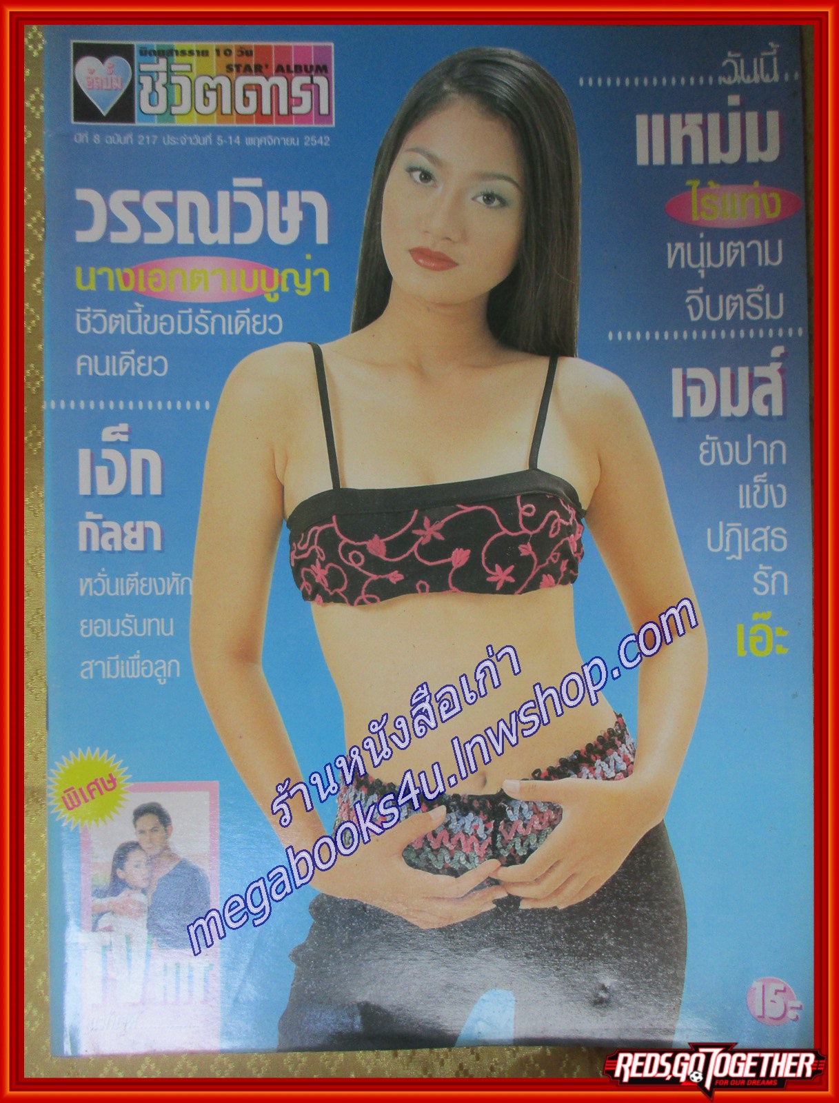 นิตยสารอัลบั้มชีวิตดารา ฉบับที่217 พฤศจิกายน 2542 ปก ต้อม วรรณวิษา
