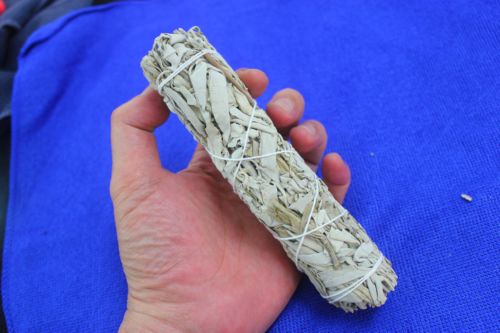 เสจ ( White Sage )