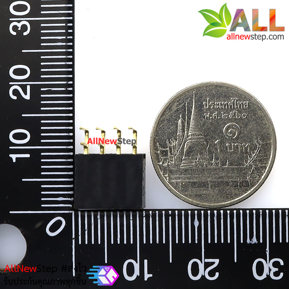 ขาก้างปลาตัวเมียแบบฉาก 2x4 ขา Double Row Hole Jack 2x4 PIN Header 2.54mm