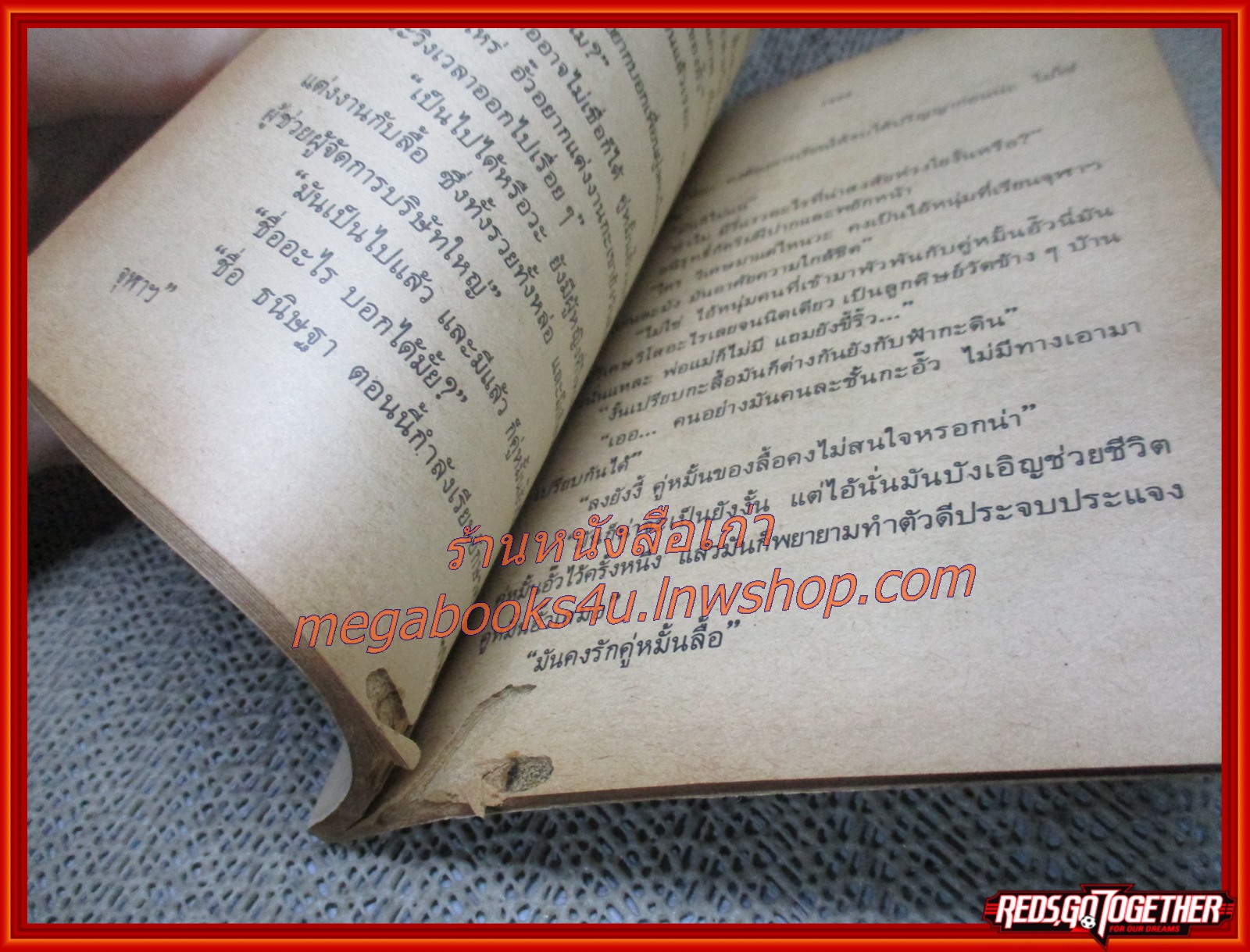 นิยายเก่า ร้อยป่า เล่ม 13 / อรชร-พันธ์ บางกอก / ฉบับแถมฟรี