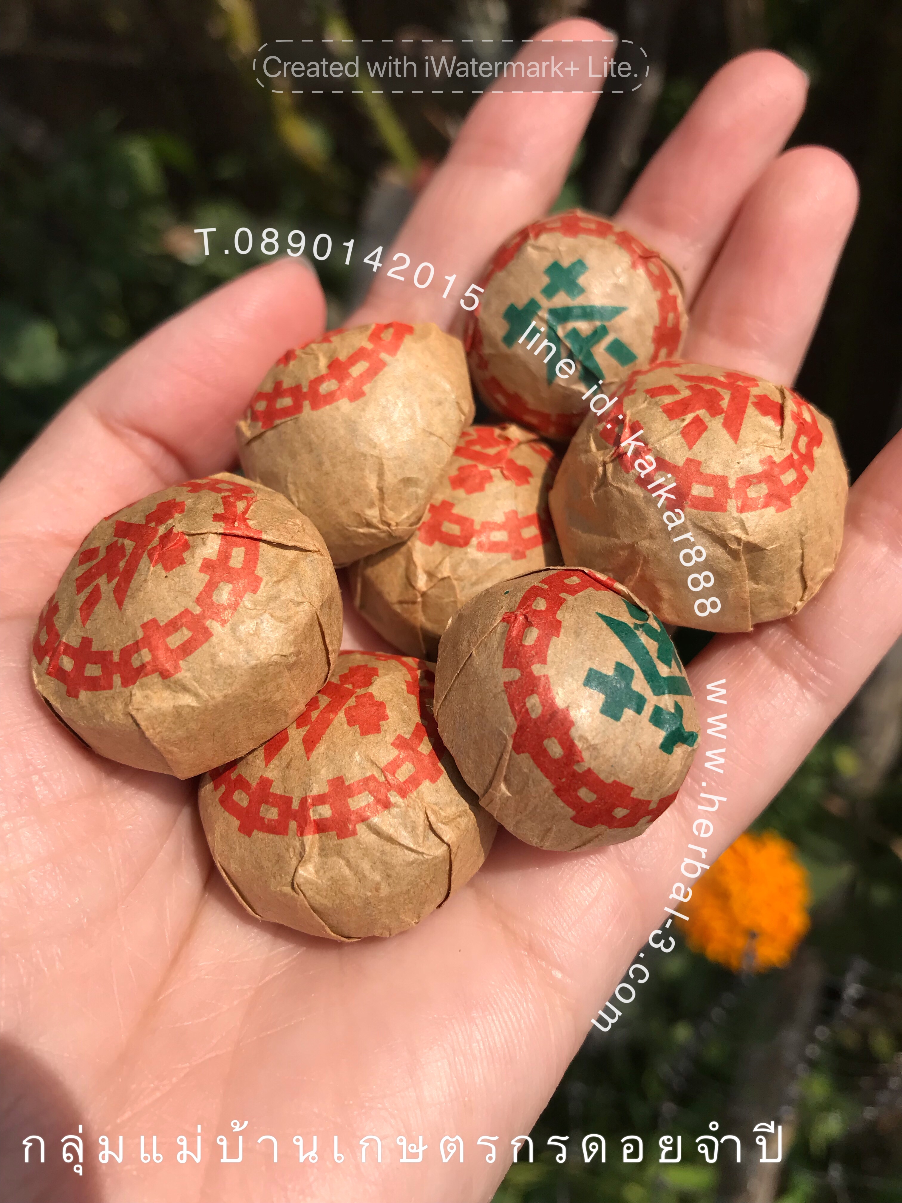 ชาผู่เอ๋อ (PUER TEA)