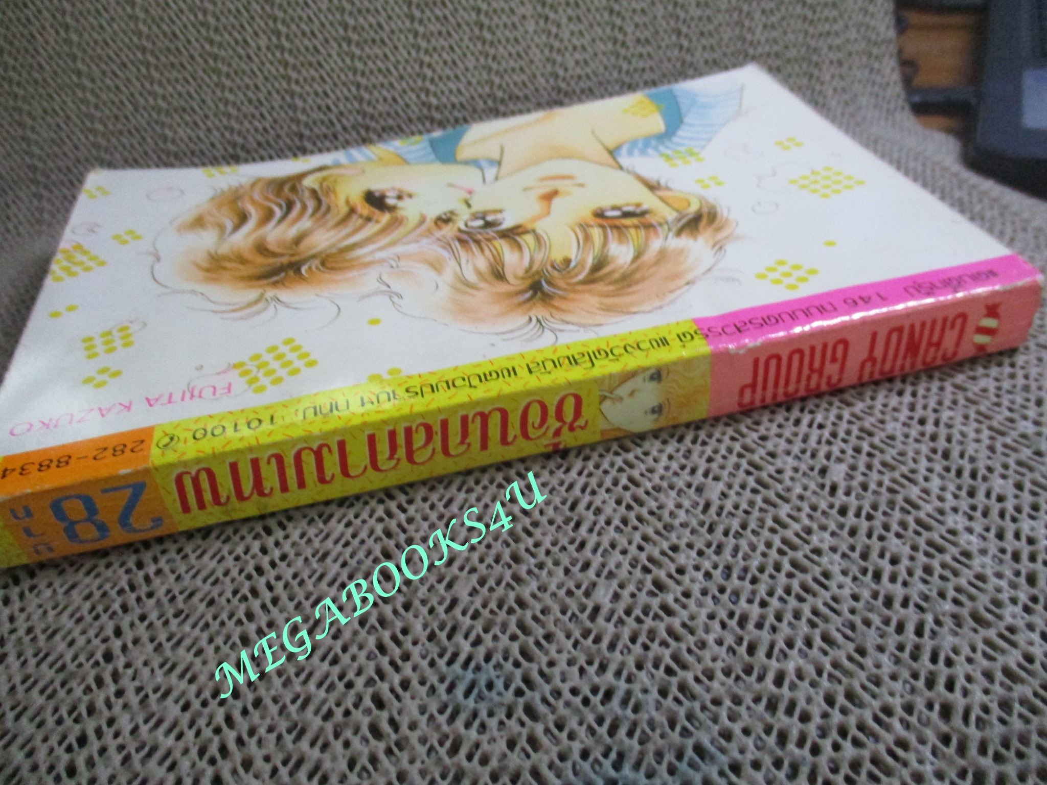 ซ้อนกลกามเทพ / FUJITA KAZUKO / เล่มเดียวจบ / สนพ. CANDY การ์ตูนบ้าน