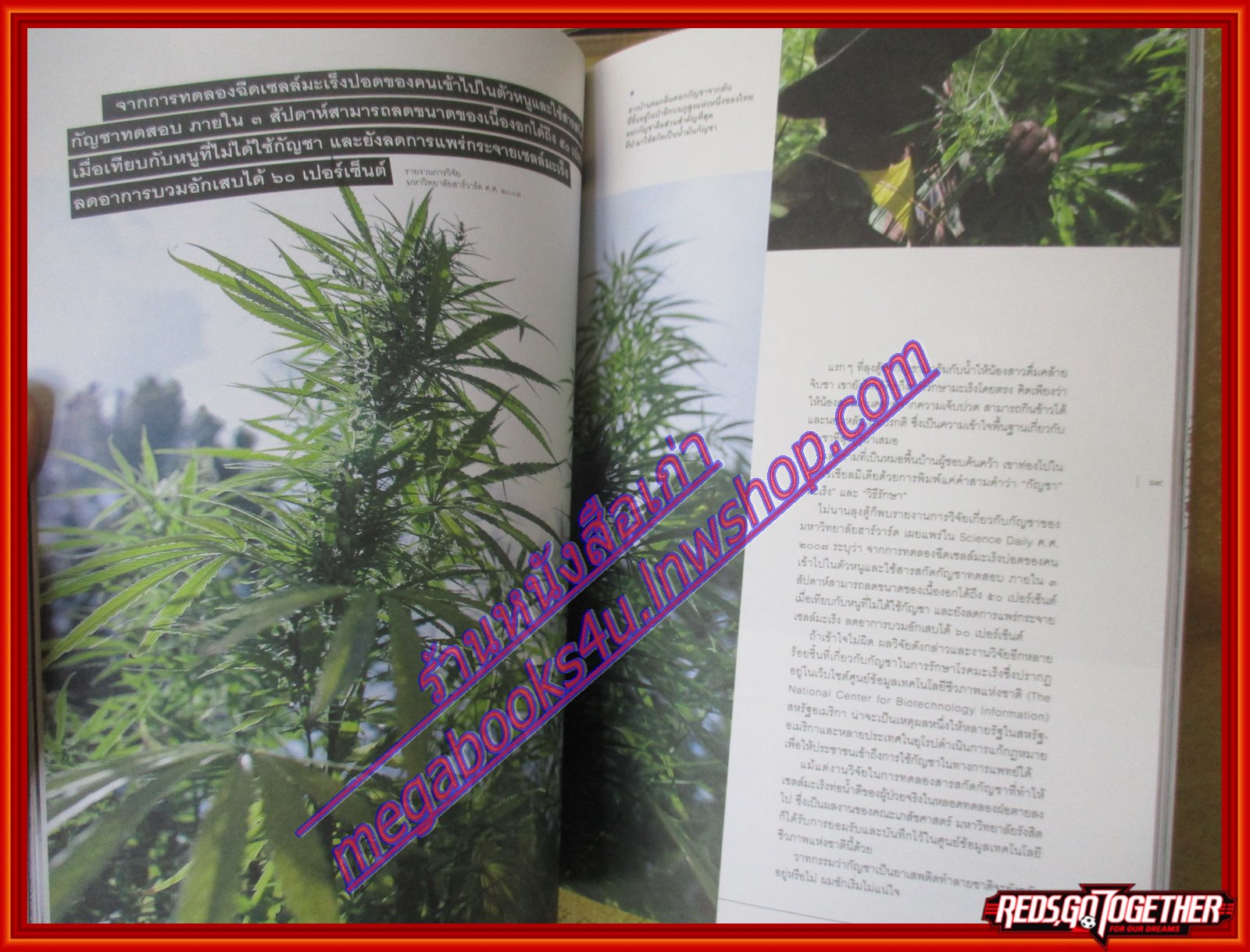 นิตยสารสารคดี ฉบับที่404 ปี2561 กัญชารักษาโรค