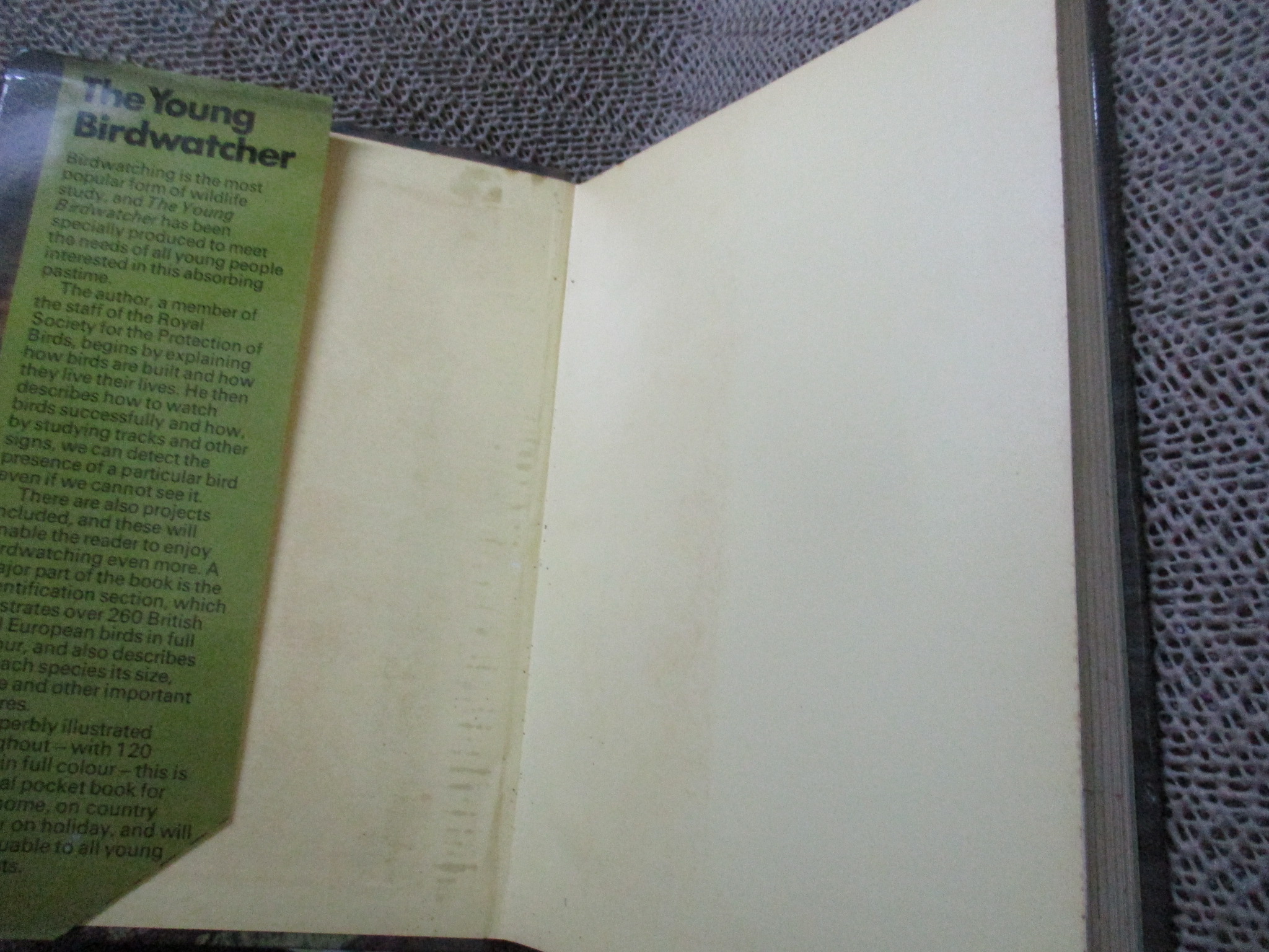 The Young Birdwatcher by Nicholas Hammond (Hardcover) / HAMLYN