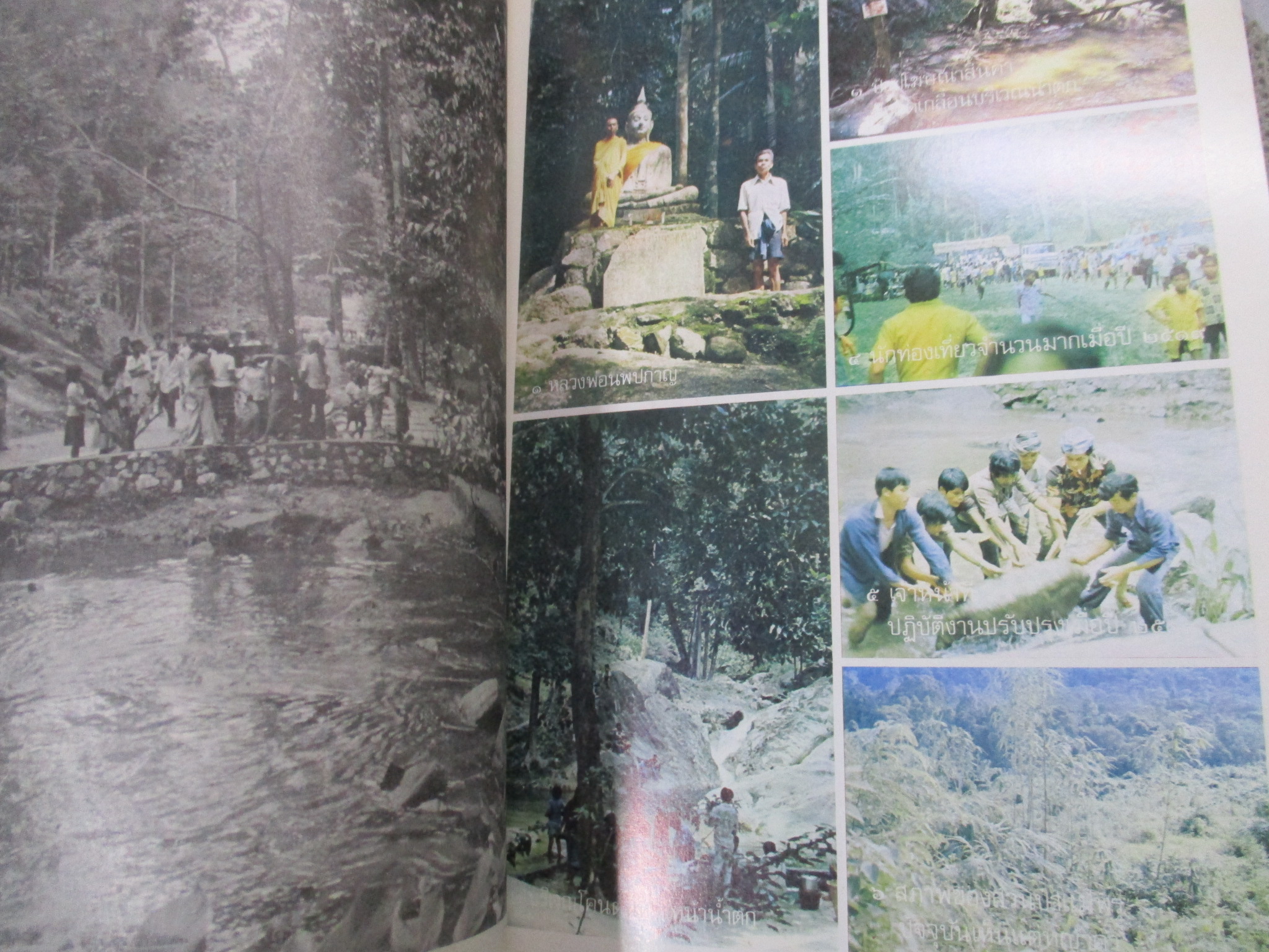 ธรรมชาติศึกษาเล่มที่ 1-6 รวม6เล่ม