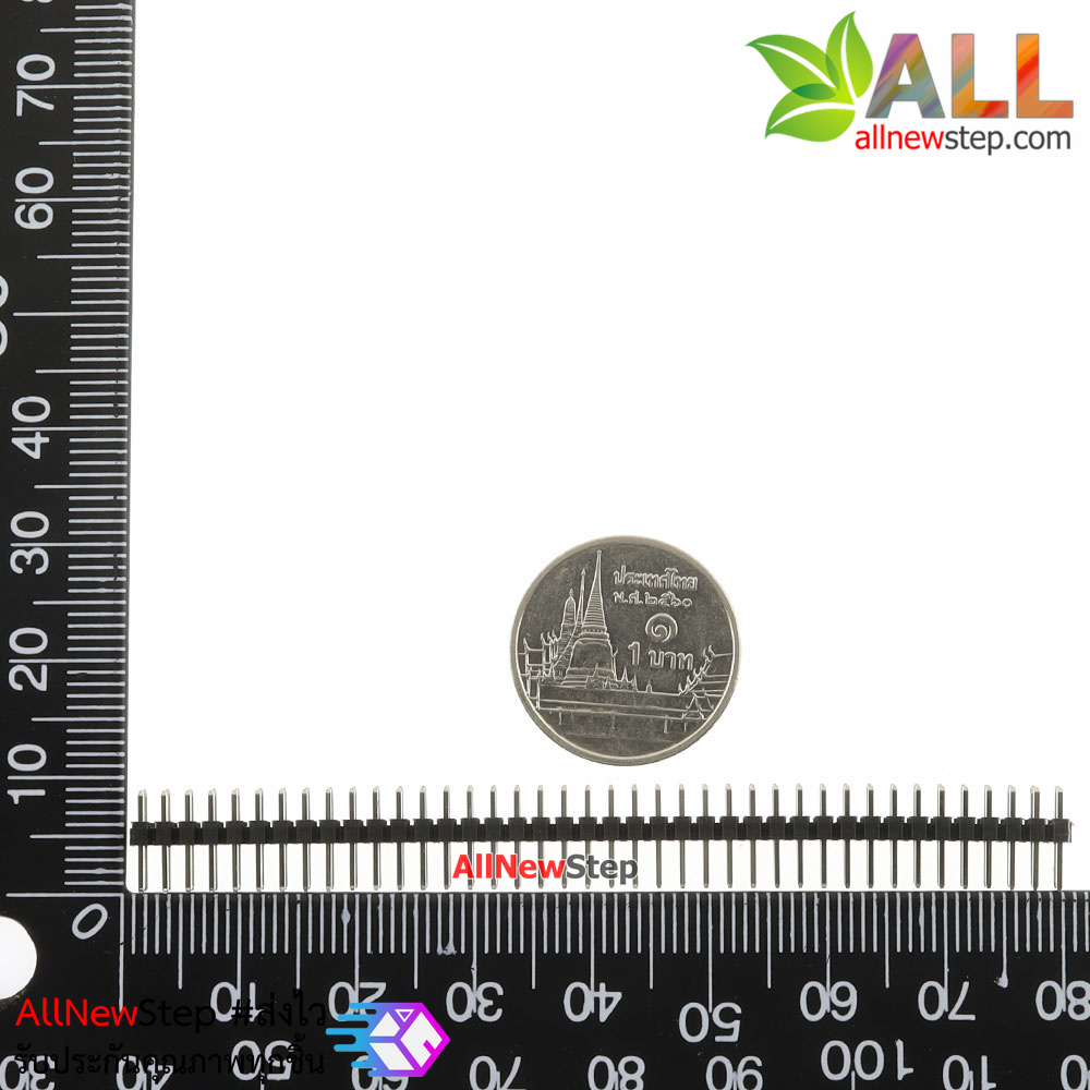 ก้างปลา 2.0mm ขนาด 2x40ขา Pitch 2.0MM 40P pin header