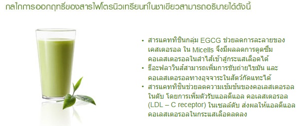 NUTRILITE Protein Green Tea flavour นิวทริไลท์ กรีนที รสชาเขียว