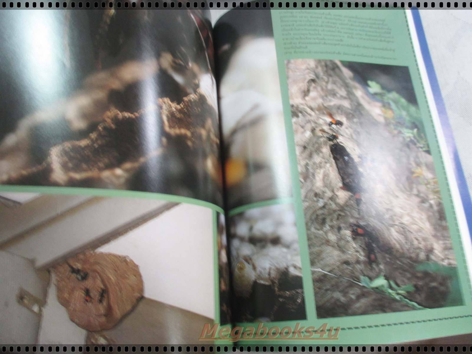 นิตยสารสารคดี ฉบับที่143 ม.ค. 2540 ทิเบต คำป่วน สุธงษา ต่อหัวเสือ เล้าข้าว