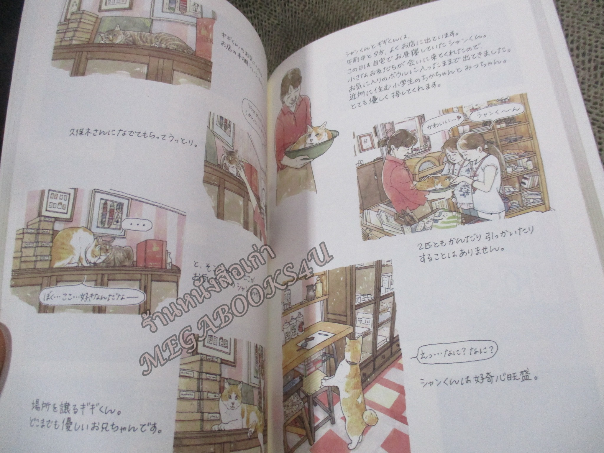 ภาษาญี่ปุ่น)หนังสือแนะนำร้านที่จะมีเหล่าแมวเหมียวออกมาต้อนรับคุณในโตเกียว ทาสแมวที่มีแพลนจะไปเที่ยวโตเกียวห้ามพลาด