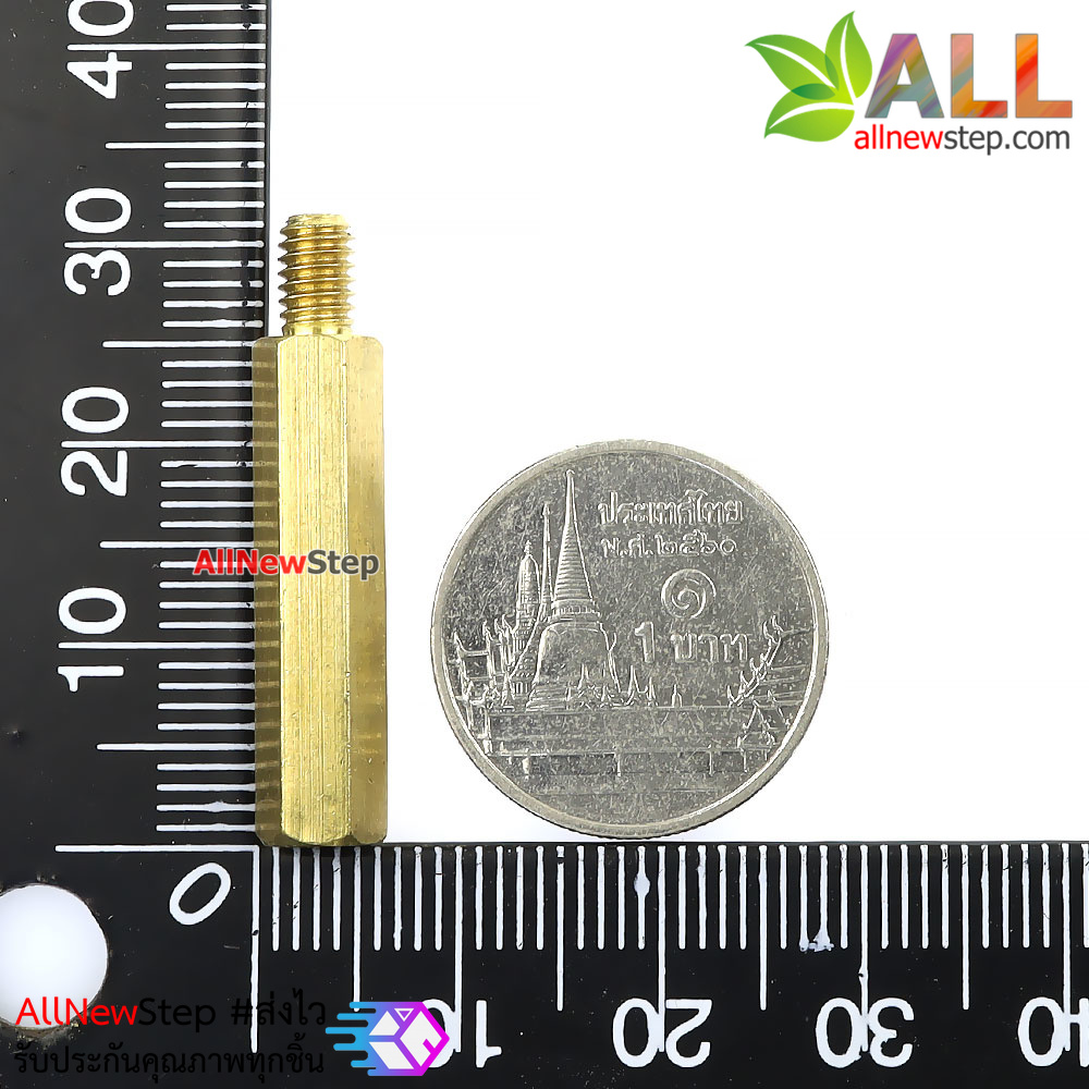 น็อต M4 ขนาด 25+6mm